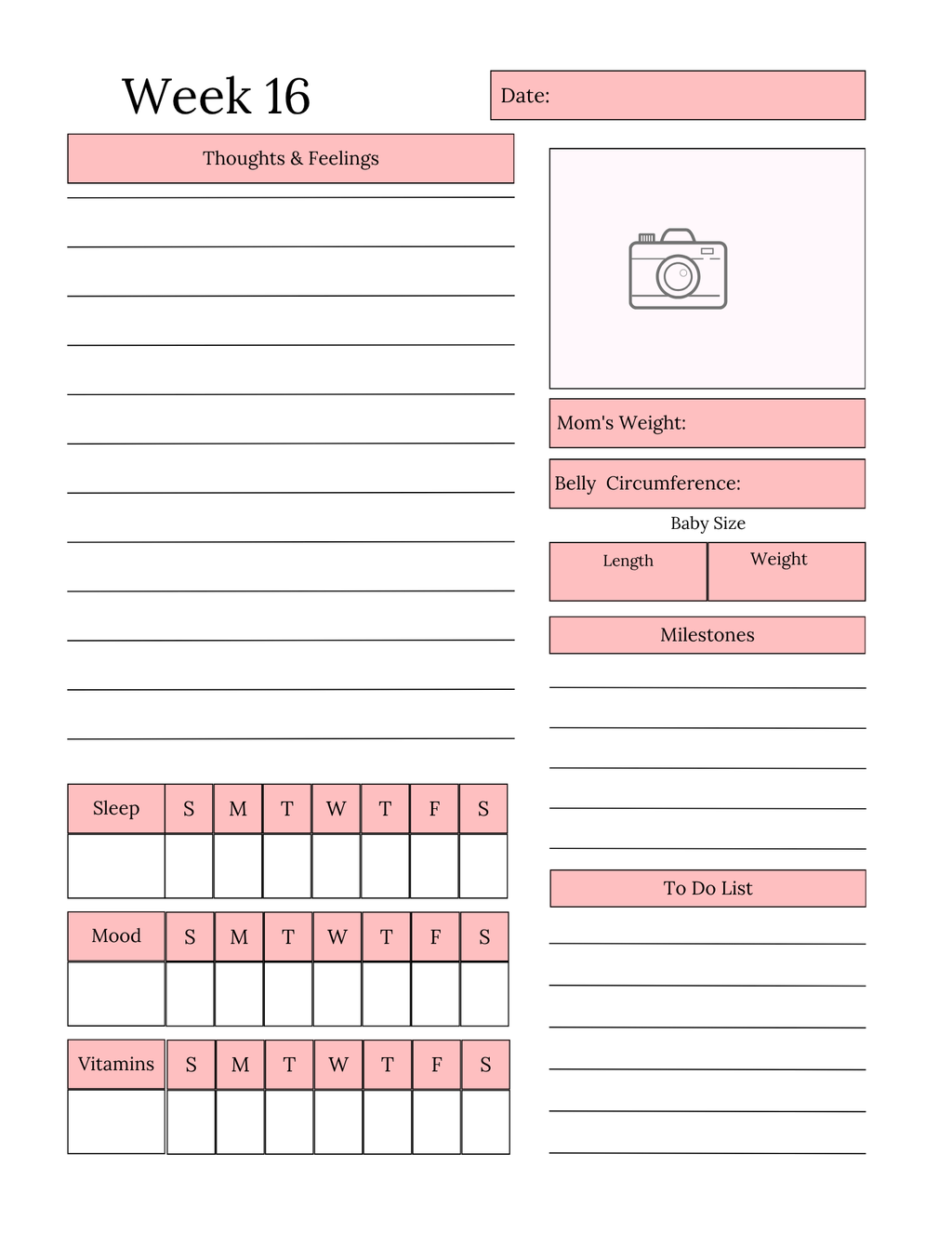 Pregnancy journal